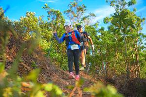 BIB: 2405
                            <button type="button" onclick="openModal(21840894)" class="btn btn-primary btn-sm float-right btn-popup" data-toggle="modal" data-target=".modal-high-quality">
                        <i class="fas fa-shopping-cart"></i> Add to Cart
                    </button>
                                            <button type="button" onclick="isThisMe(21840894, true)" class="btn btn-success btn-sm float-right btn-popup btn-isme hidden" data-toggle="tooltip" data-placement="bottom" title="นี่คือรูปของคุณใช่ไหม คลิกที่นี่เพื่อเอาเข้าอัลบั้ม">
                        <i class="fas fa-plus"></i> Add to album
                    </button>
                    <button type="button" onclick="isThisMe(21840894, false)" class="btn btn-warning btn-sm float-right btn-popup btn-isnotme hidden">
                        <i class="fas fa-ban"></i> Remove from album
                    </button>